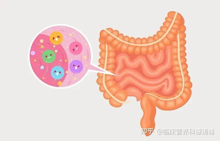 道康健康科技